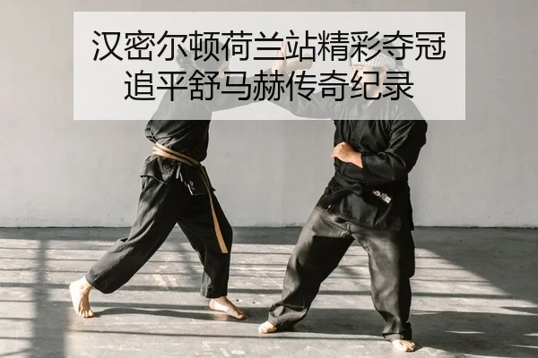 汉密尔顿荷兰站精彩夺冠 追平舒马赫传奇纪录