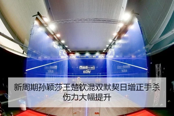 xin-zhou-qi-sun-ying-sha-wang-chu-qin-hun-shuang-mo-qi-ri-zeng-zheng-shou-sha-shang-li-da-fu-ti-sheng-2-422.jpg